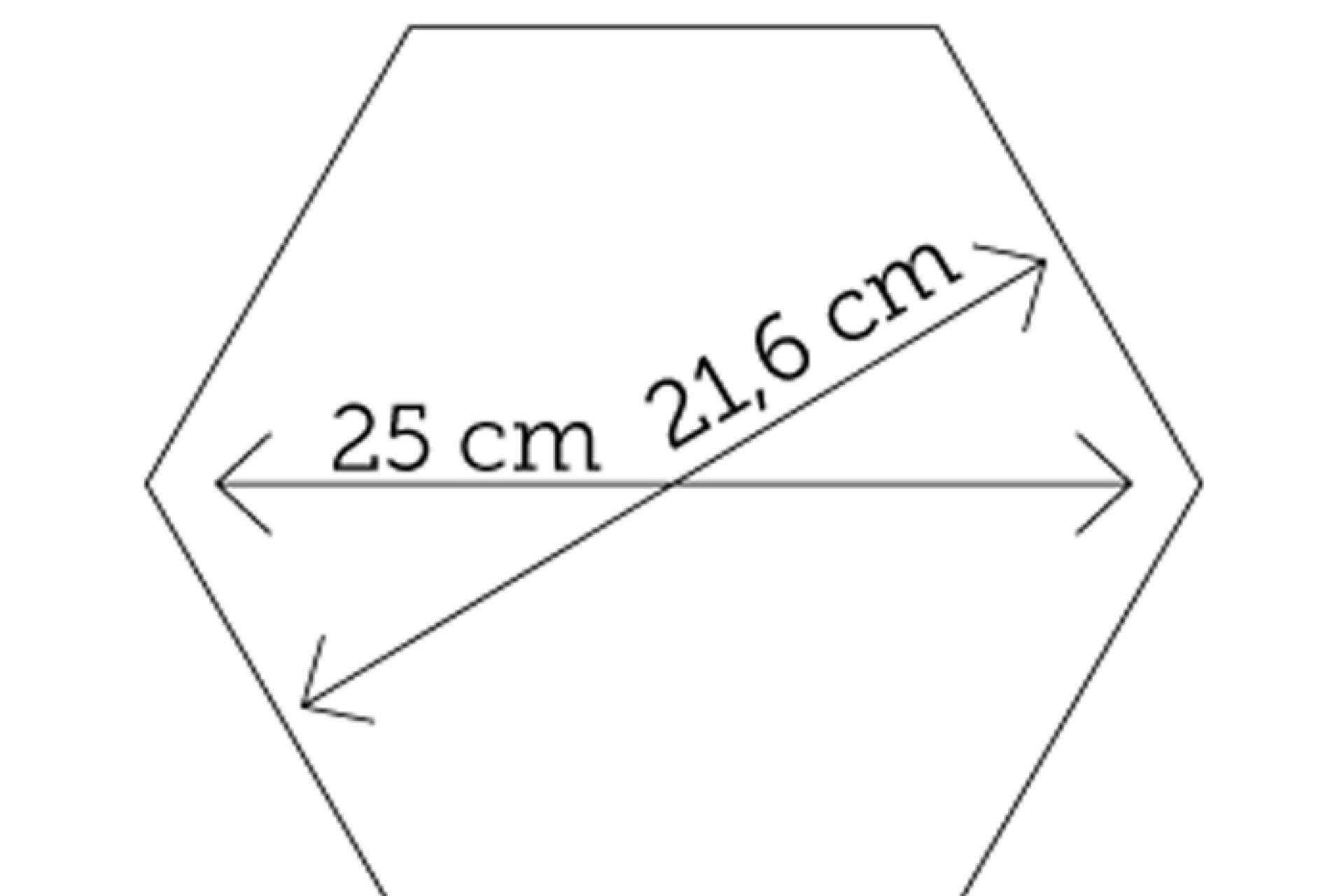 atlas_argenta_9.jpg