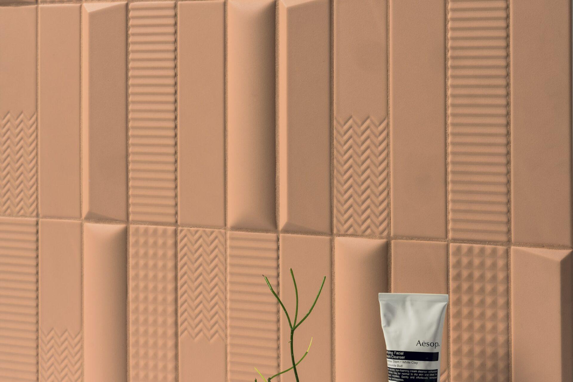 biscuit-41zero42_4.jpeg
