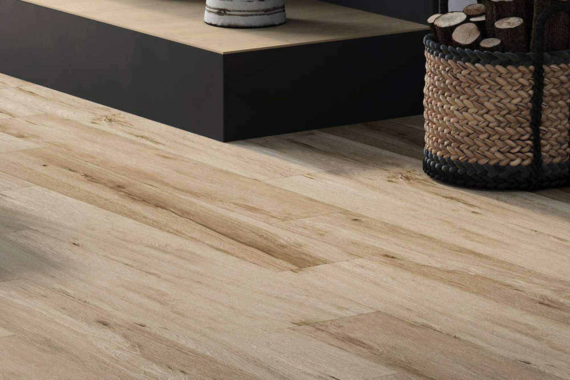 forest-starowood.jpg