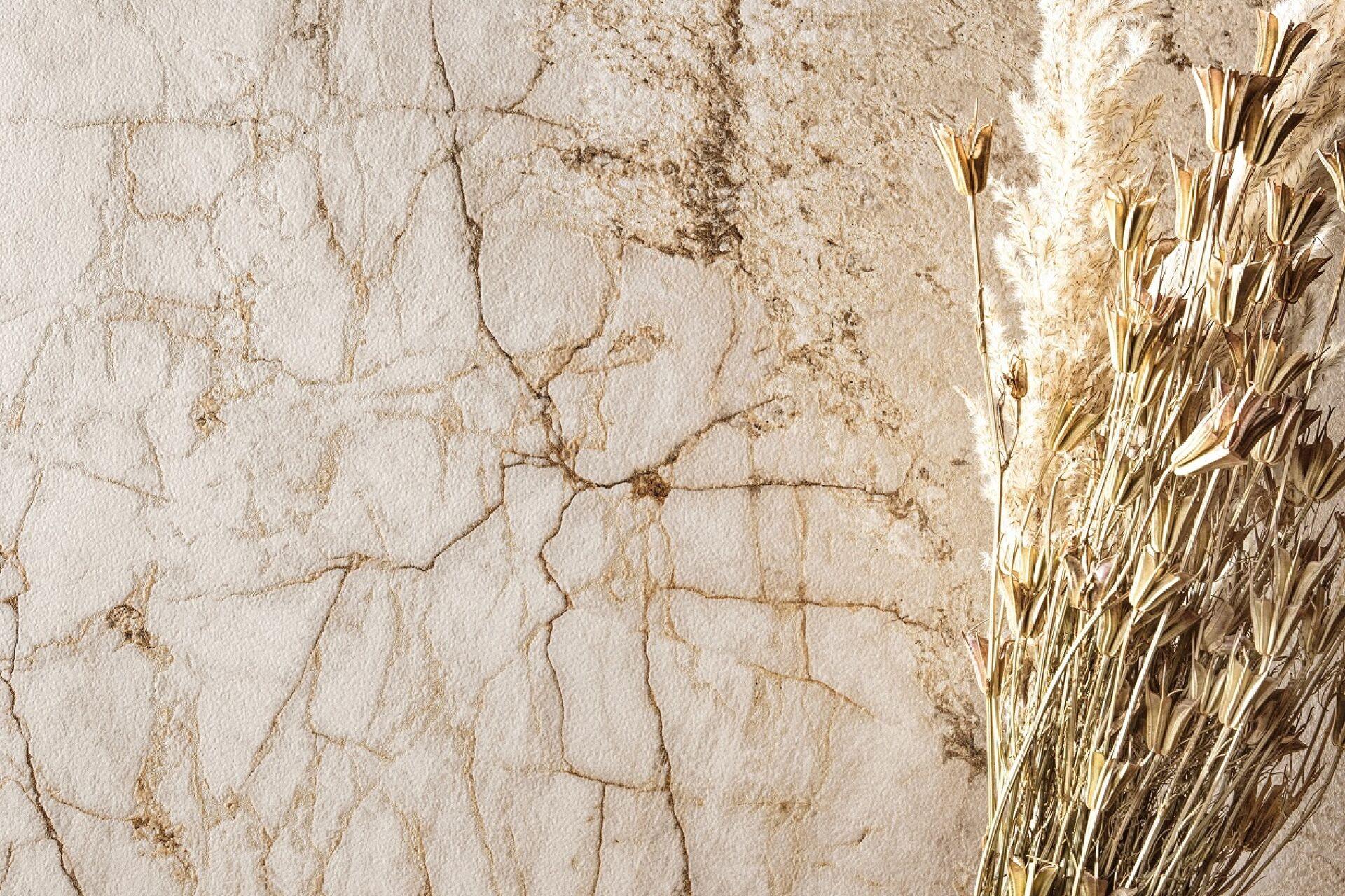 gemstone-la-fabbrica_6.jpg