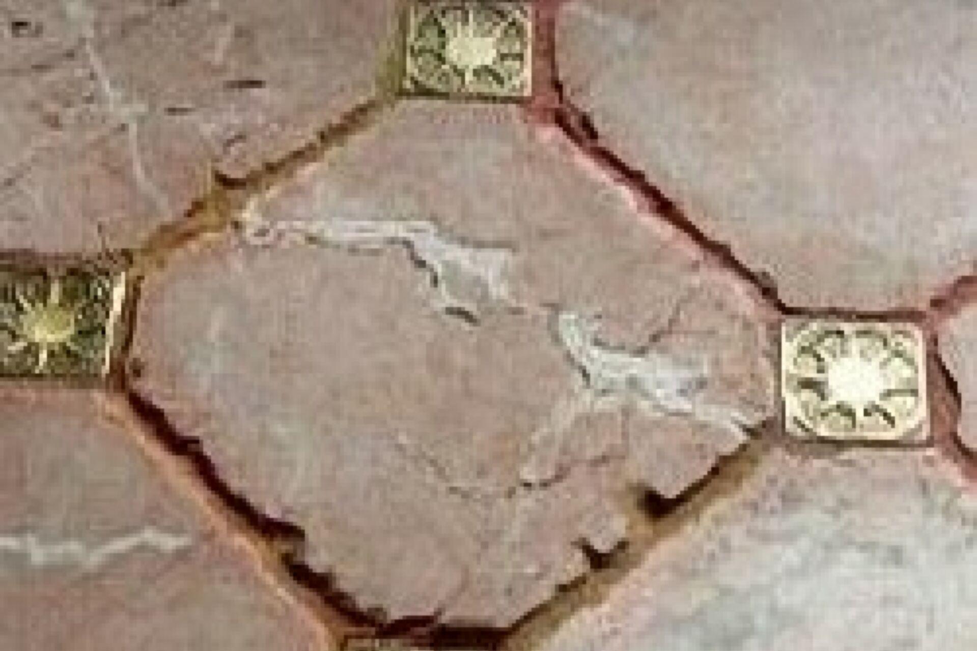moneli_decor_1.jpg