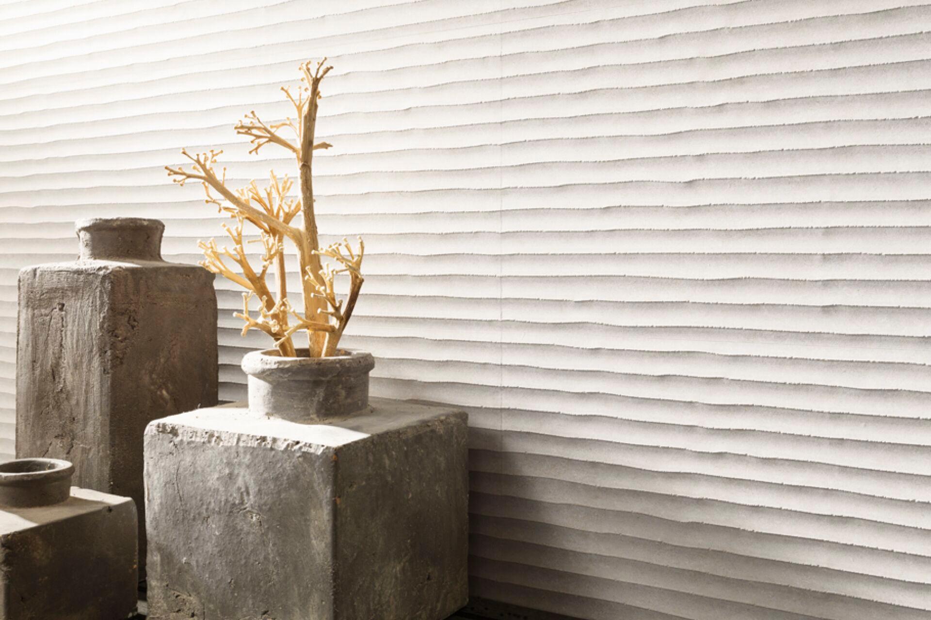 newport_venis_6.jpg