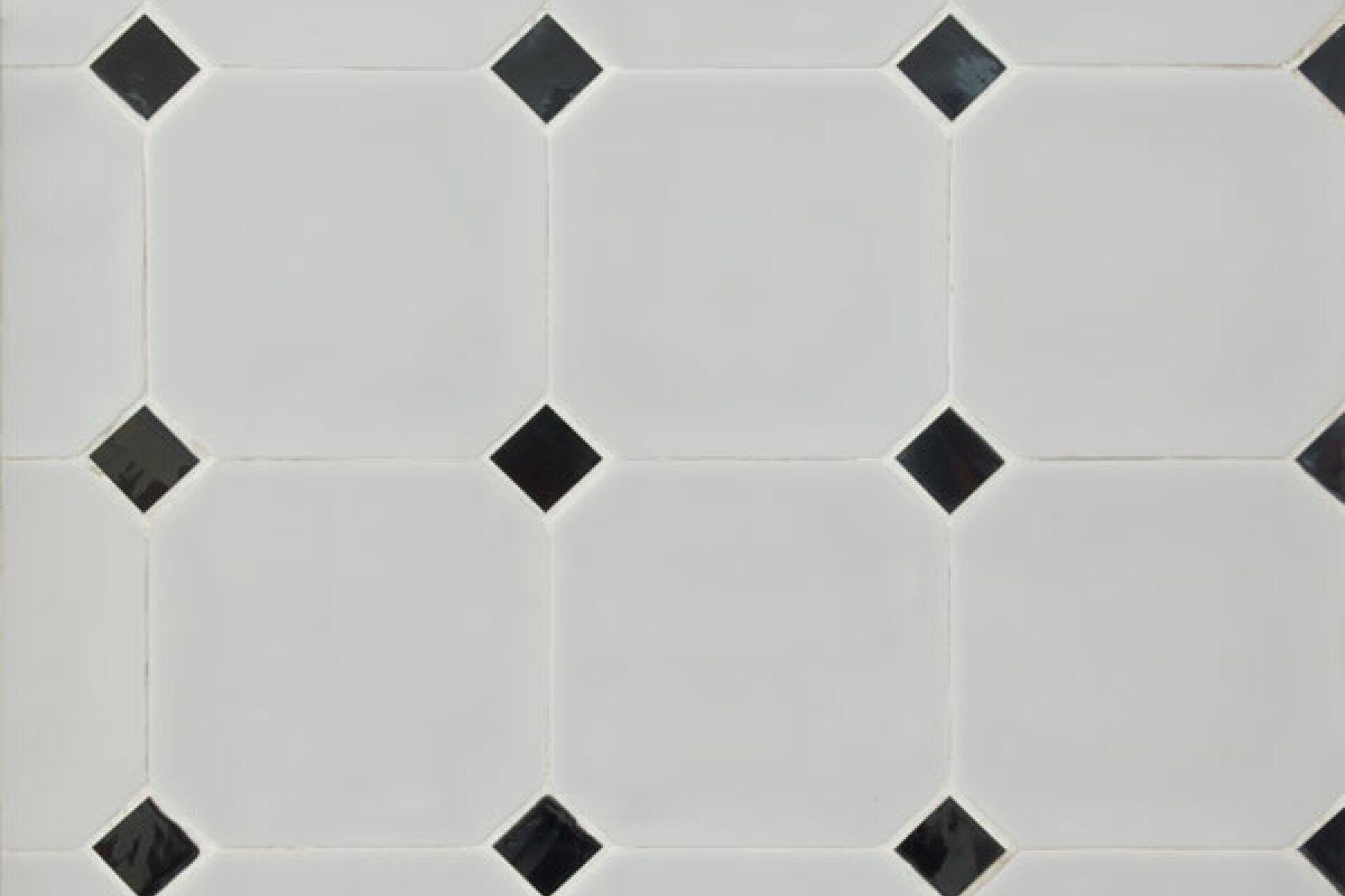 octagon_equipe_1.jpg