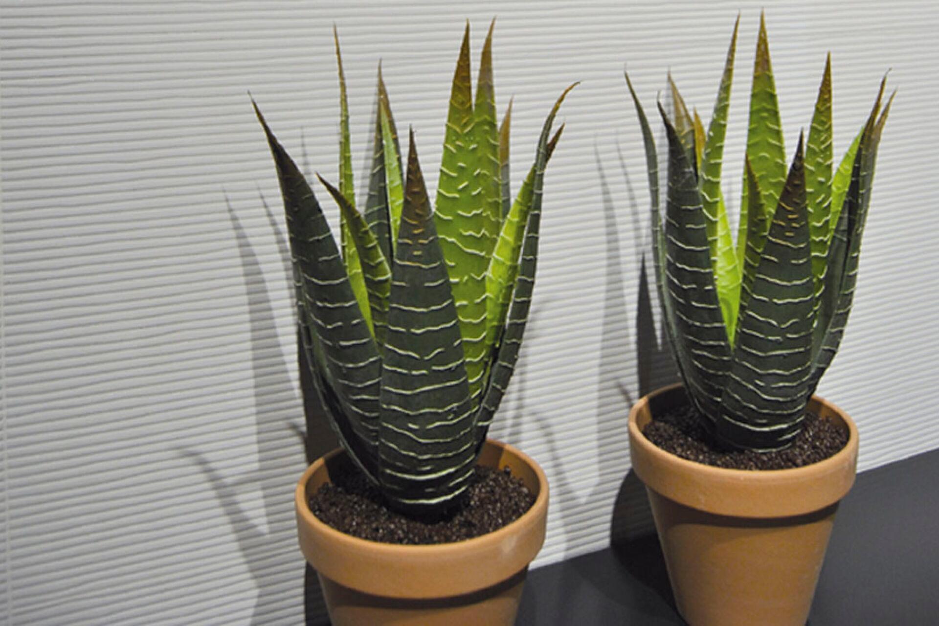 silextile_emigres_2.jpg