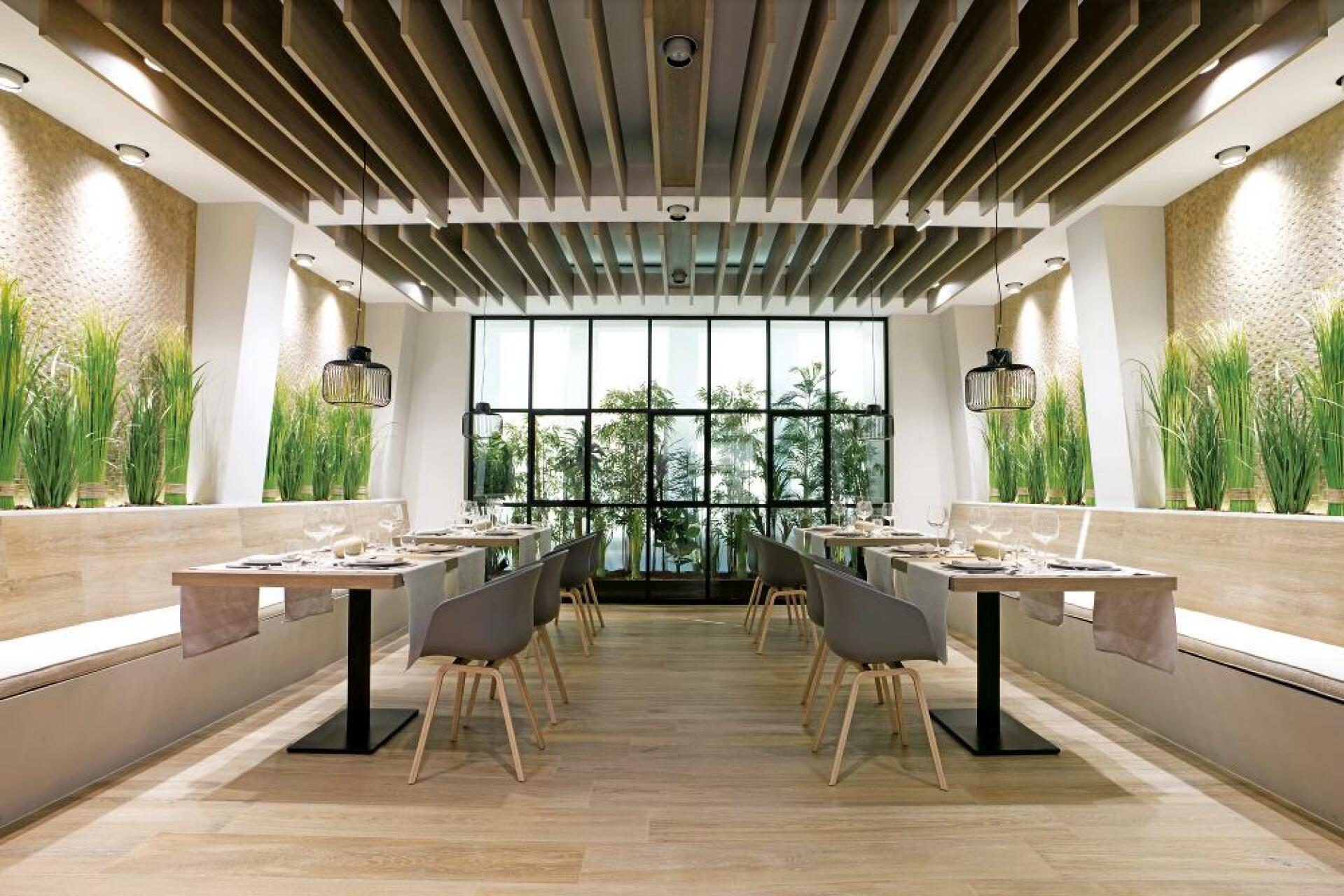 starwood_venis_1.jpg