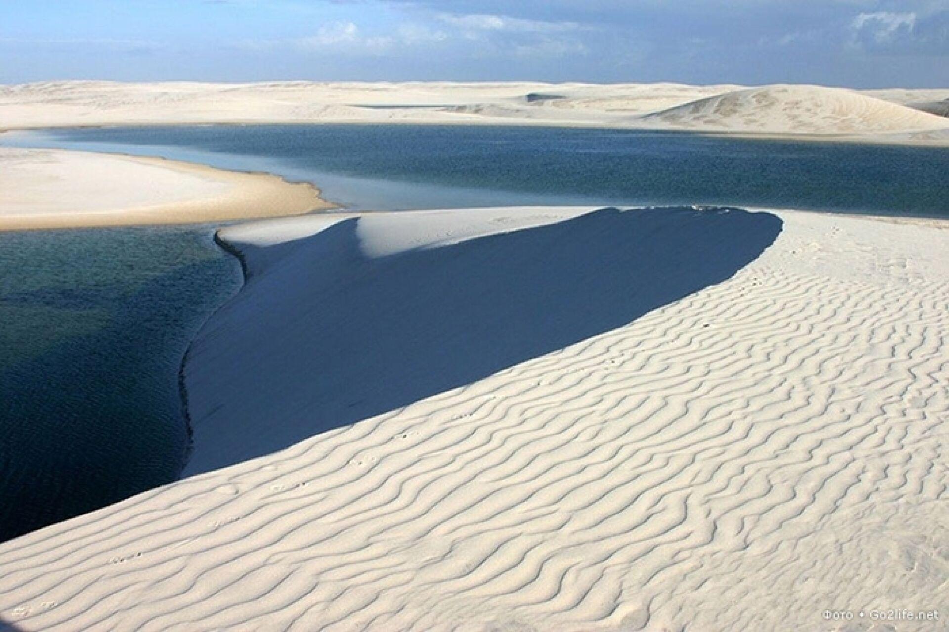 wave_venis_1.jpg