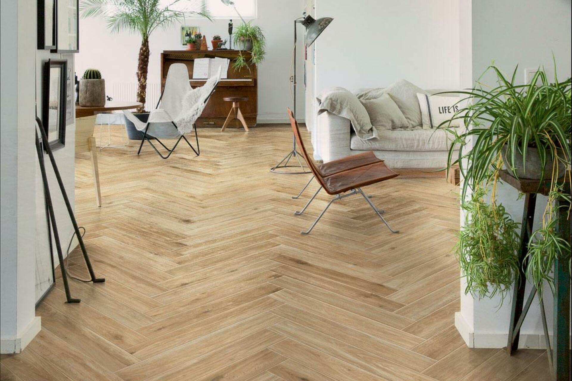 woodglam-ragno_3.jpeg