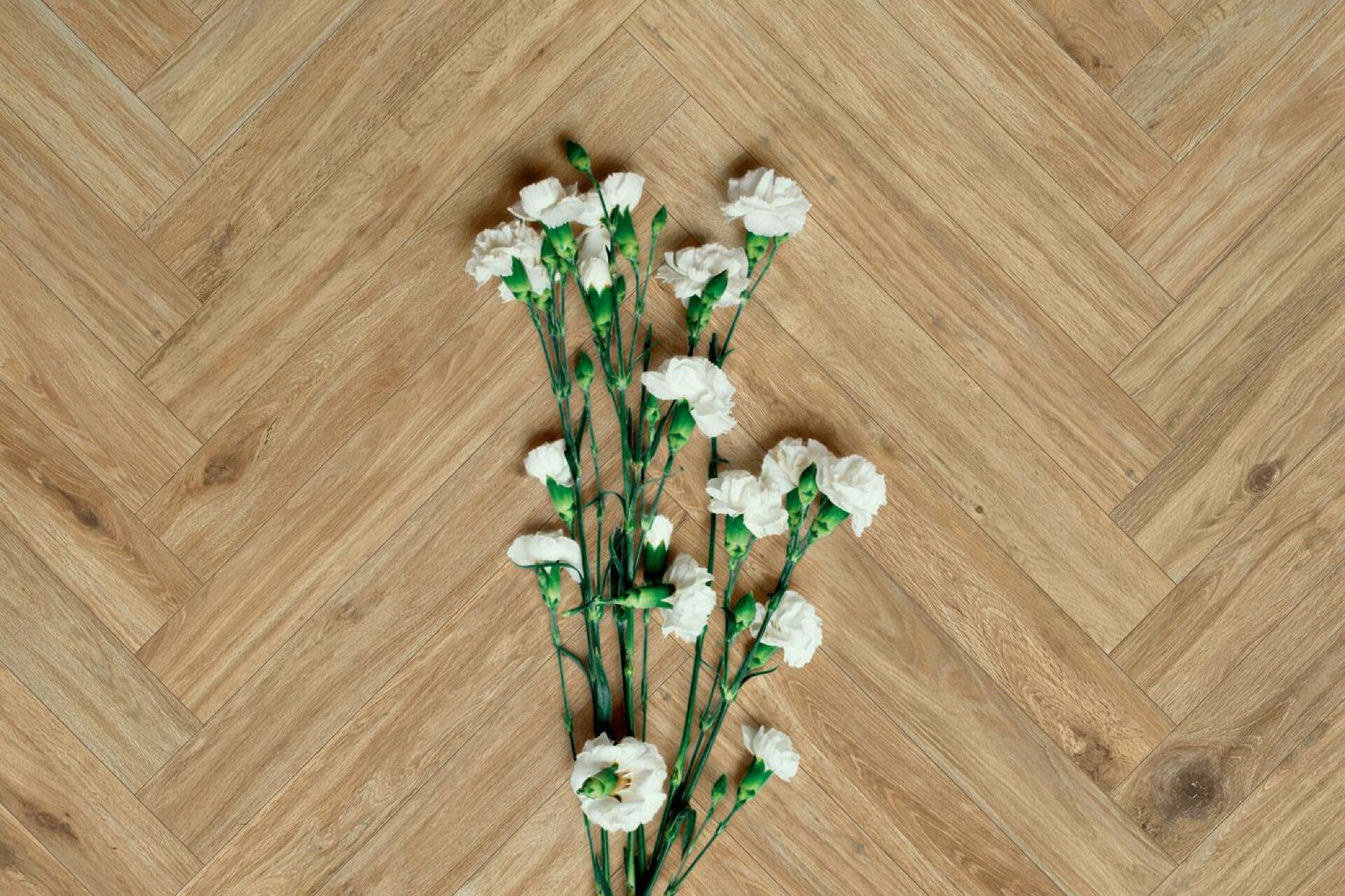 woodglam-ragno_6.jpeg