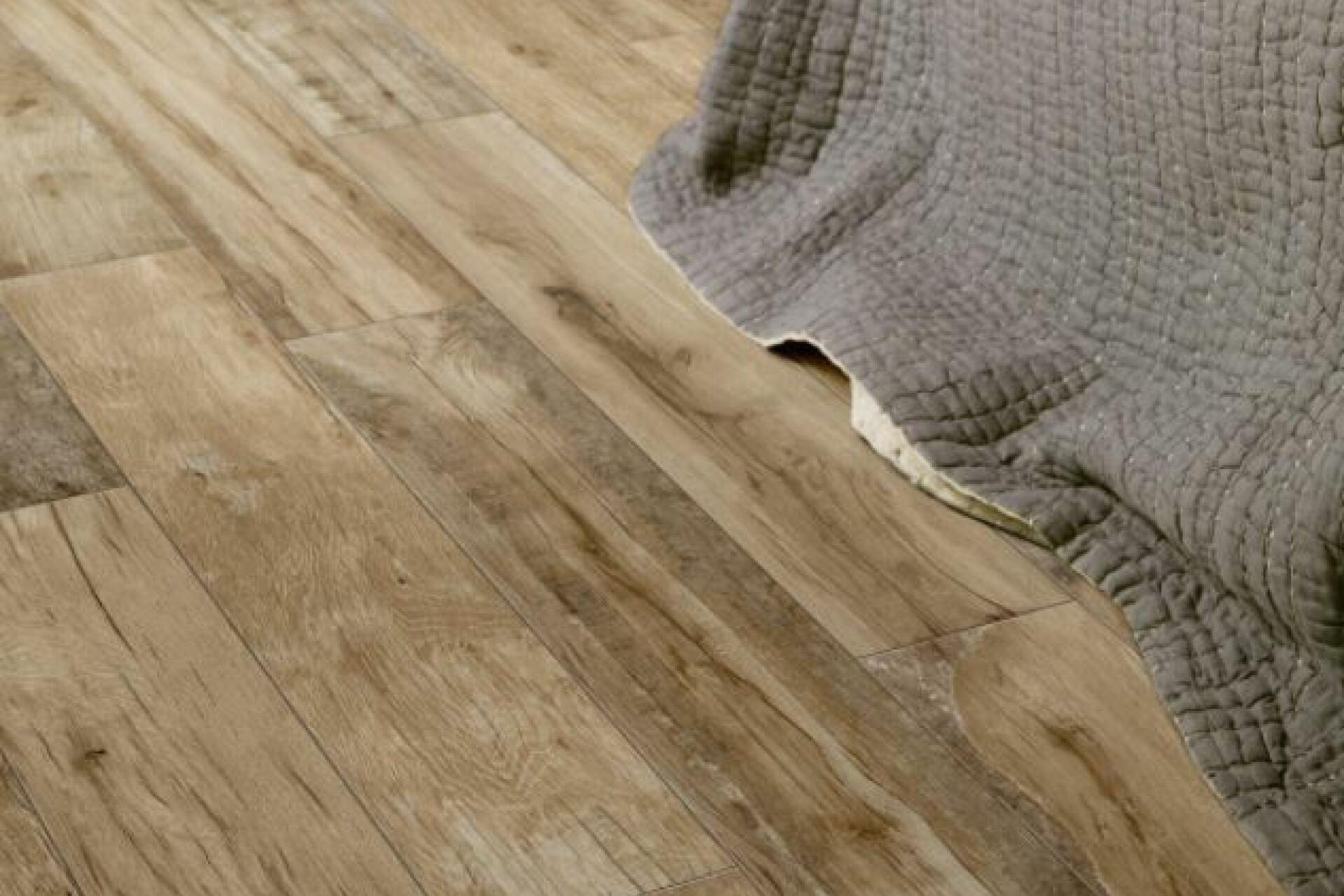 woodmania_ragno_6.jpg