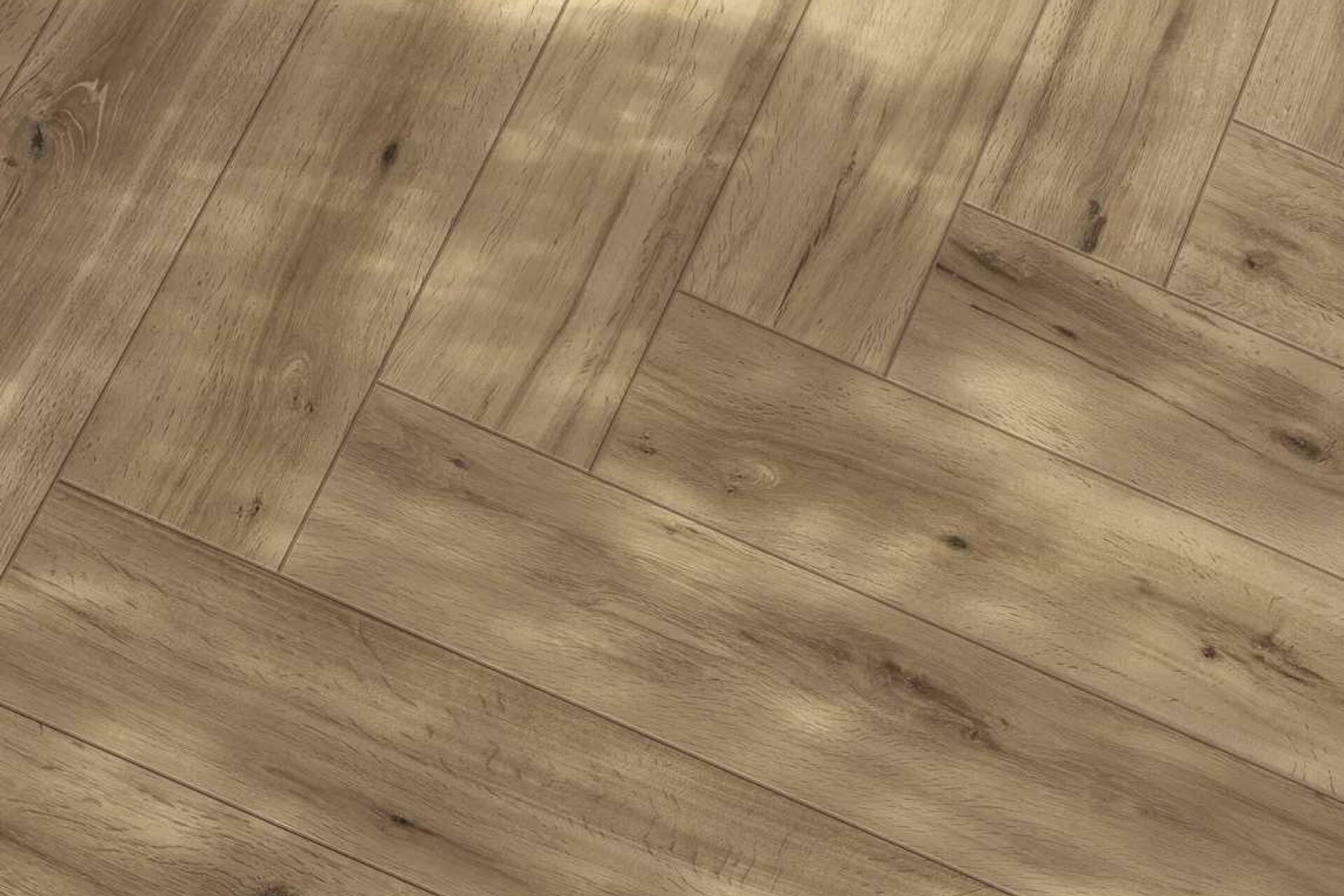 woodstory-ragno_8.jpeg