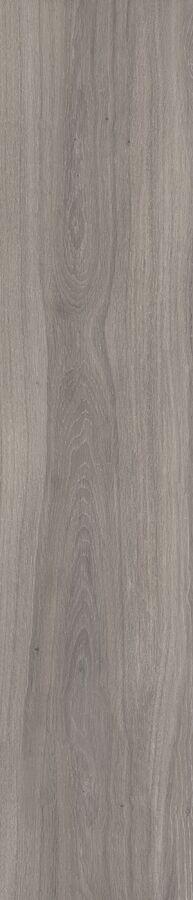 Valerian Cloud 20х120