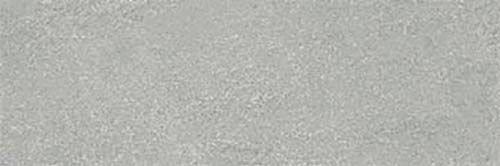 Rev. Avenue gris 20x60