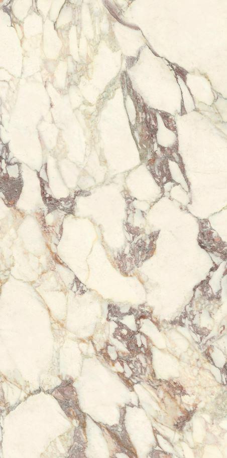 PL612671 Calacatta Viola Luc