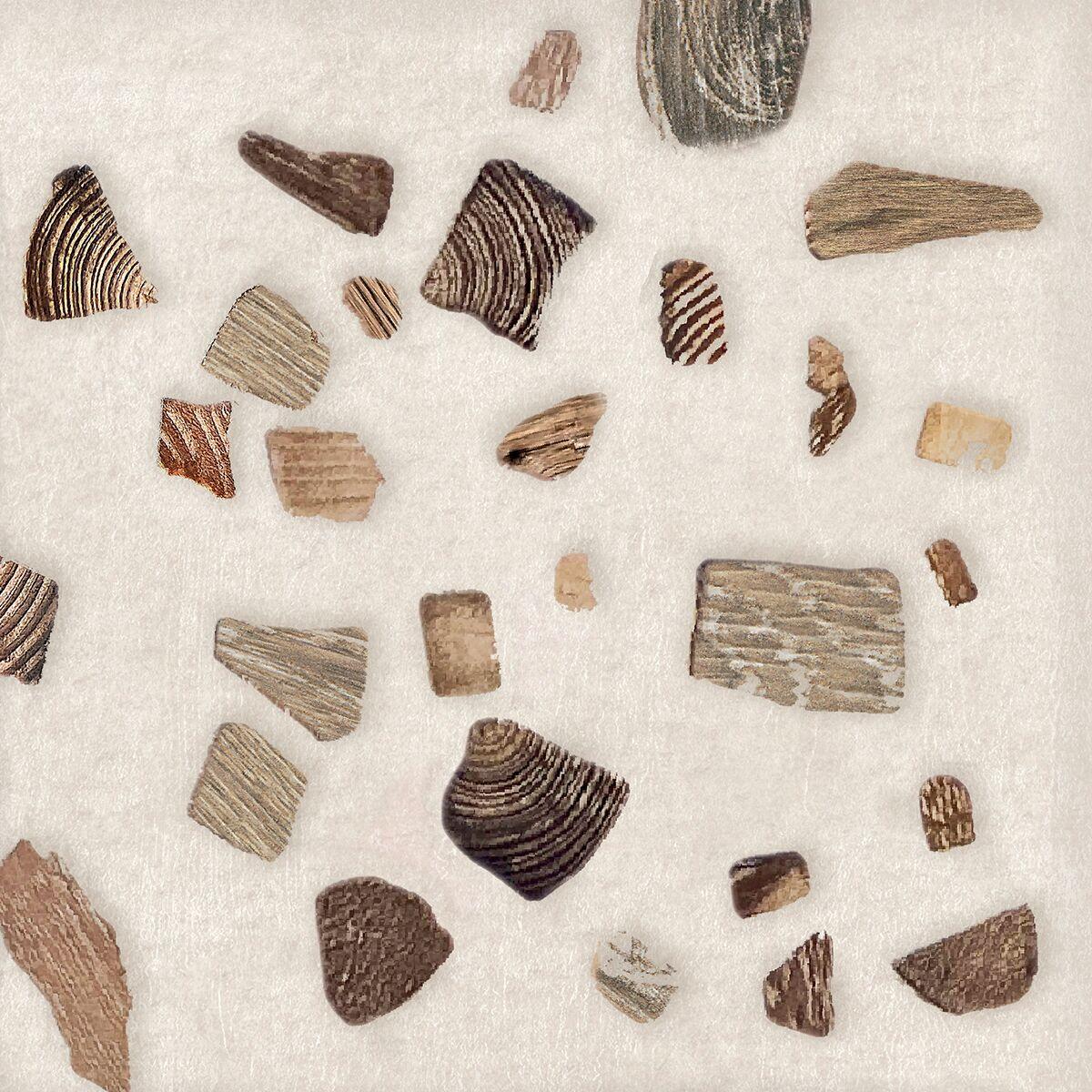 Terrazzo Wood