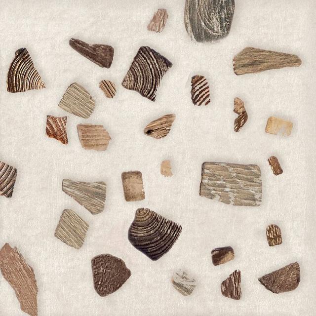 Terrazzo Wood