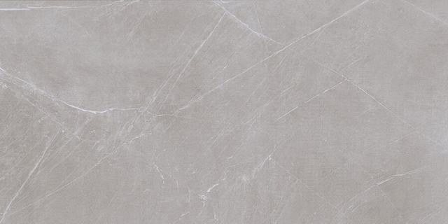 ATLAS GREY 60х120
