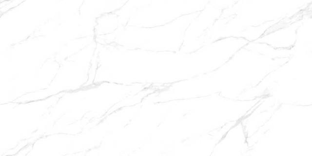 STATUARIO ROCK GLOSSY 80х160