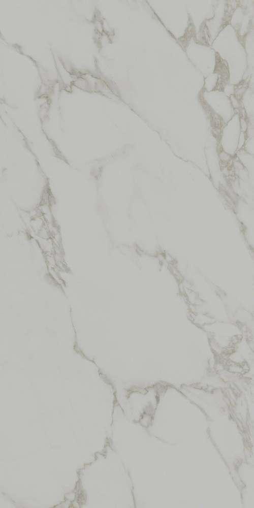 Монте Тиберио серый светлый матовый обрезной SG572390R 80х160