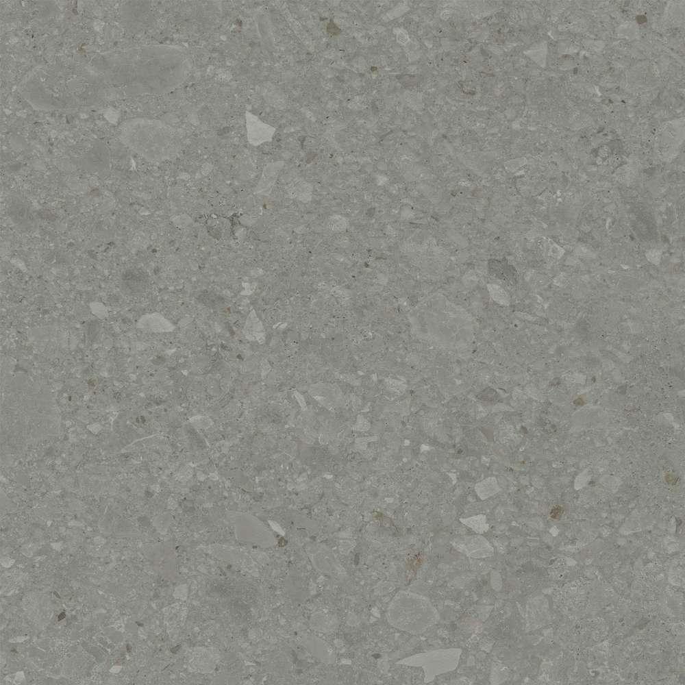 Чеппо ди Гре серый тёмный матовый обрезной DD012700R 119,5х119,5