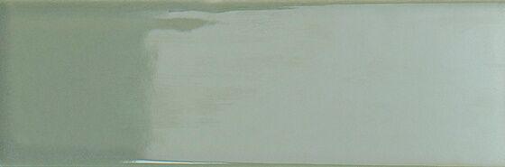 132999 Kale Gloss