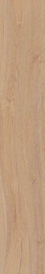 Тровазо бежевый матовый обрезной SG732490R 13х80
