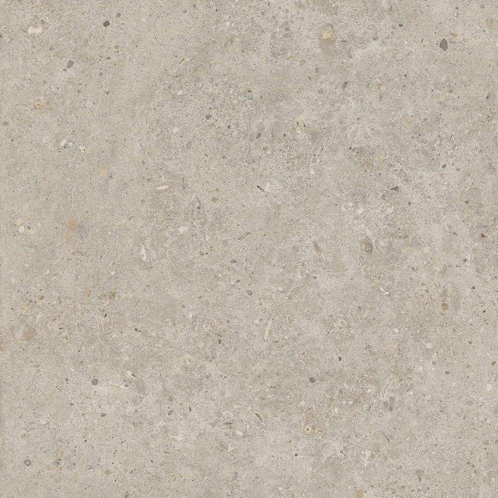 Риккарди бежевый матовый обрезной SG653820R 60х60