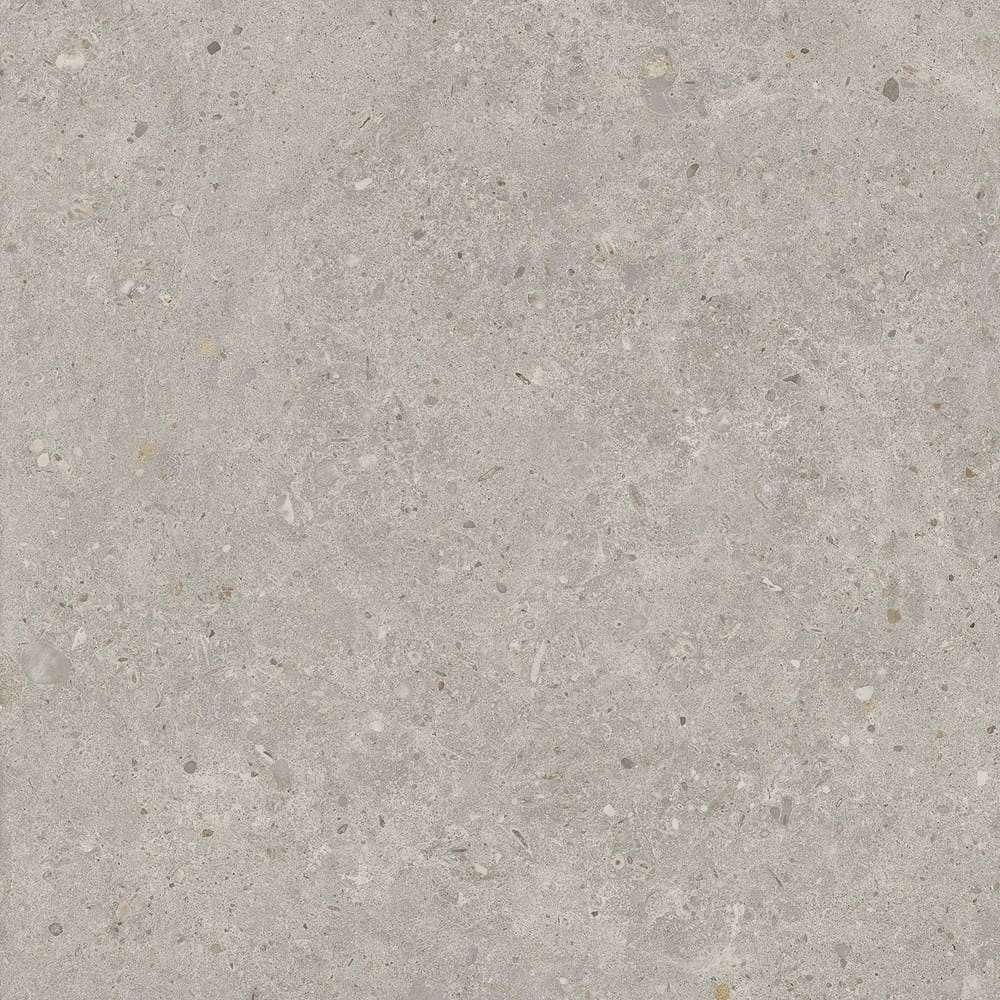 Риккарди серый светлый матовый обрезной SG653720R 60х60