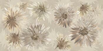 BLOOM6 12 RM