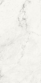 AE CAL6 12 LP