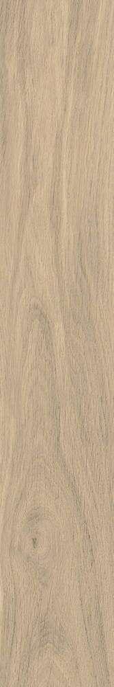Монтиони бежевый тёмный матовый обрезной SG526420R 20х119,5