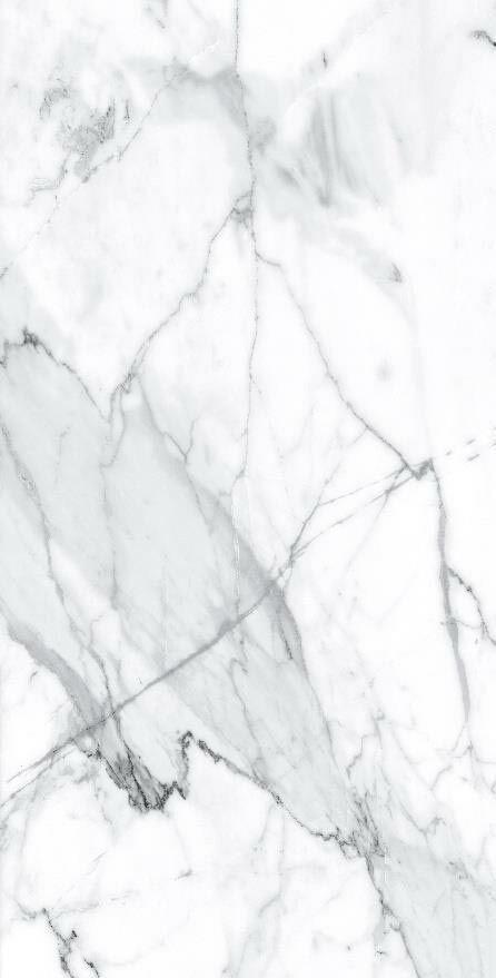 Visage Grey Plus Pol. 60x120