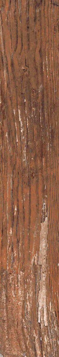 Kiwi Redroot Mat 20x120