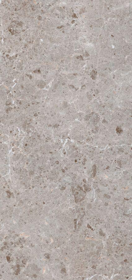 Chiros grey 60x120