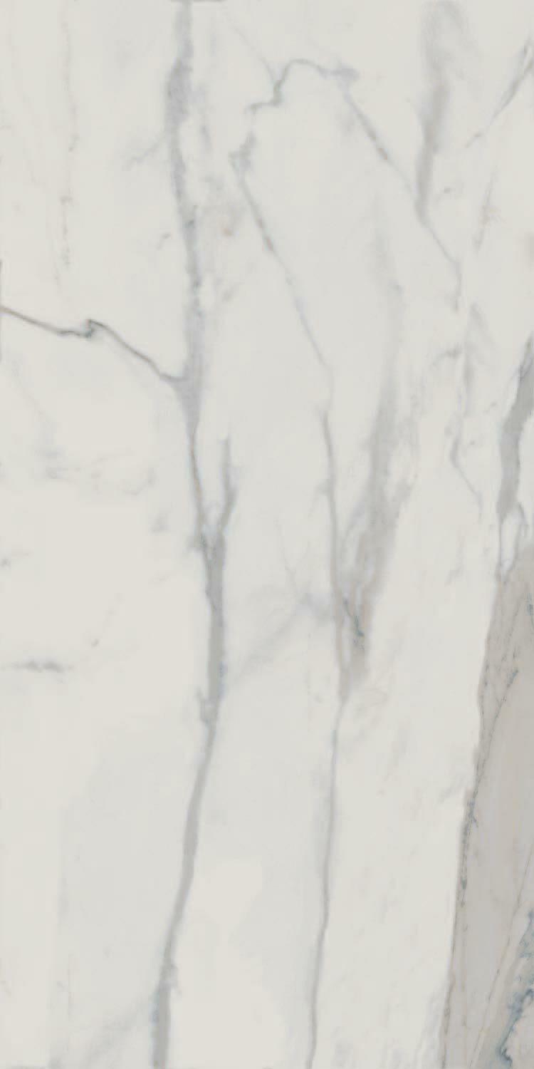 Statuario Matte 60х120
