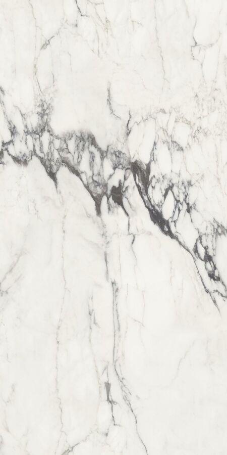 Michelangelo glossy 90x180