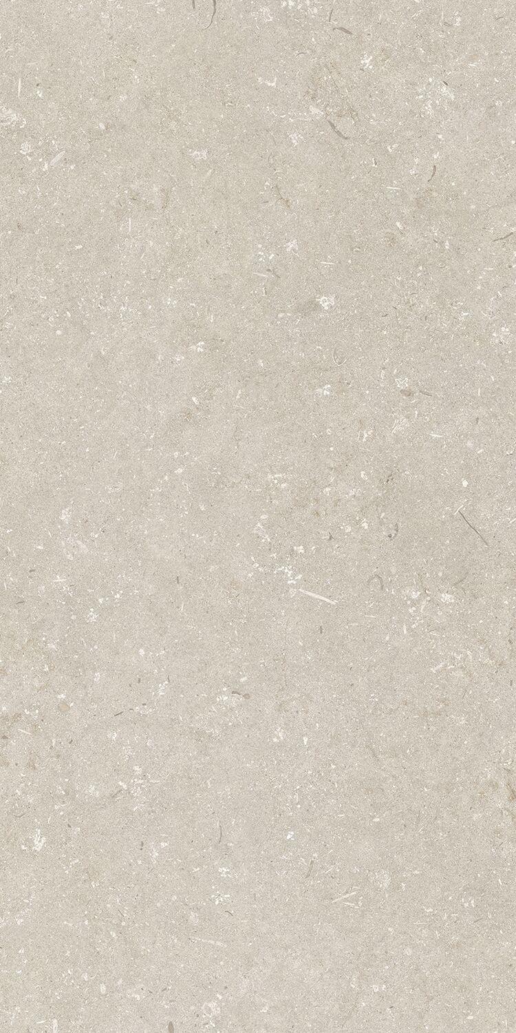Shellstone Beige 60x120