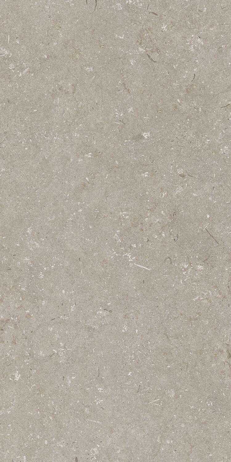 Shellstone Taupe 60x120