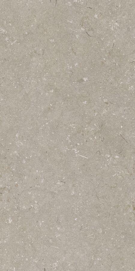 Shellstone Taupe 60x120