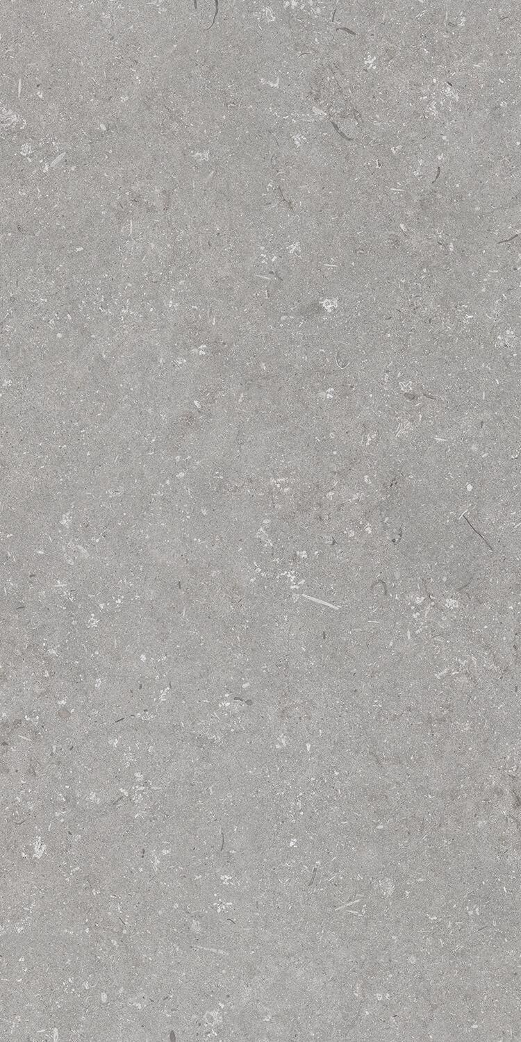 Shellstone Grigio 60x120
