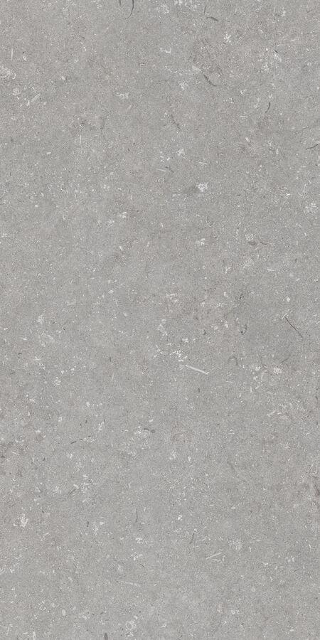 Shellstone Grigio 60x120