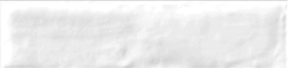 Liguria White