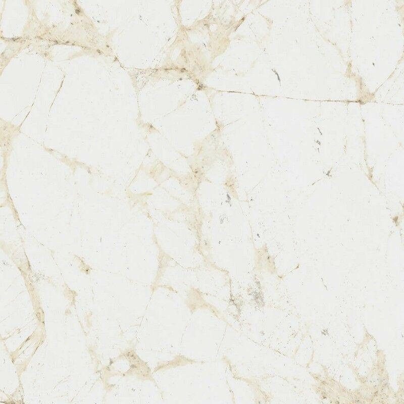 610010005761 White