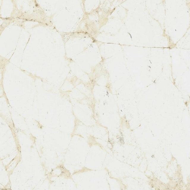 610010005761 White