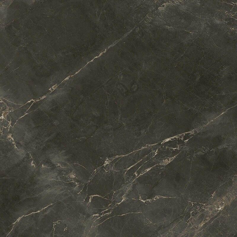 610010005764 Dark