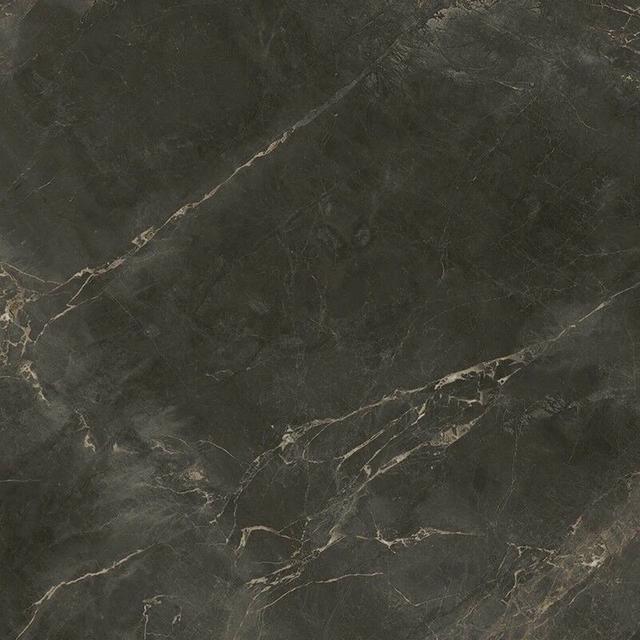 610010005764 Dark