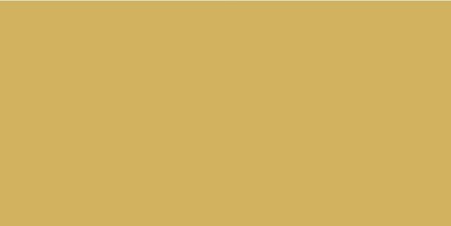 Monocolors ELITE LEMONCELLO 60х120 5мм MATT
