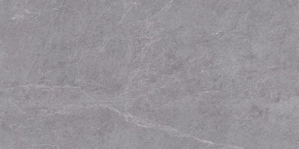 Alpine Gris Matt 60x120