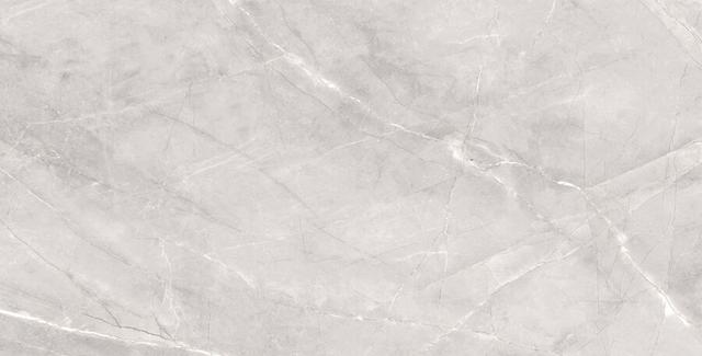 Armani Silver 60x120 Matt