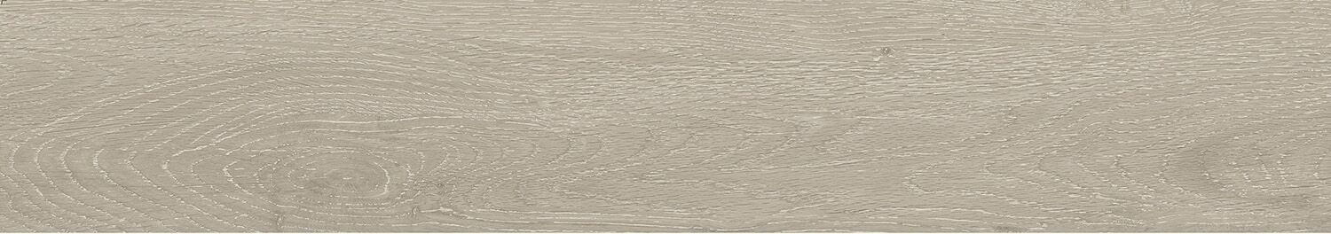 Forest Argent 20x120 Matt