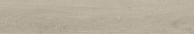 Forest Argent 20x120 Matt